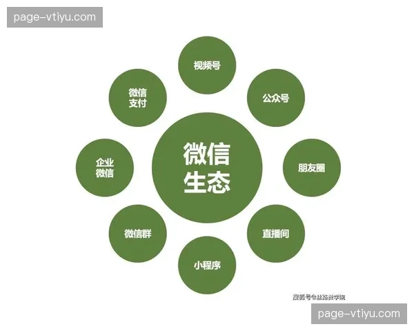 互动弹幕的商业化开发在本阶段实现了流量与关注的对等